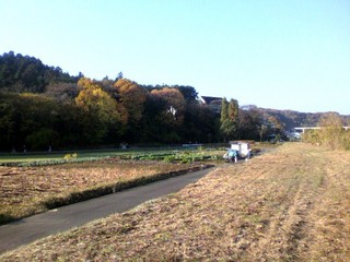 2010112808180000.jpg