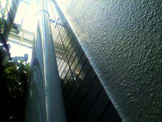 2010113011290000.jpg