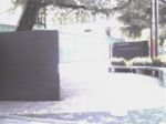 20090514104529.jpg