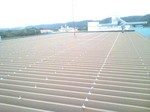 2009090216230002.jpg