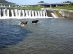 2010072509460000.jpg