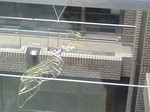 2010081010510000.jpg