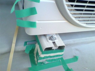 2011020110360000.jpg