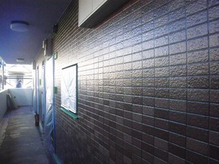 IMGP6726.JPG